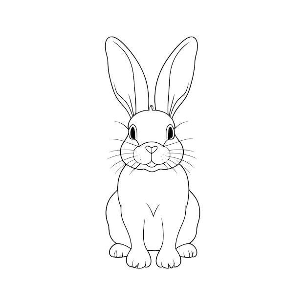 vector illustration animal outline design