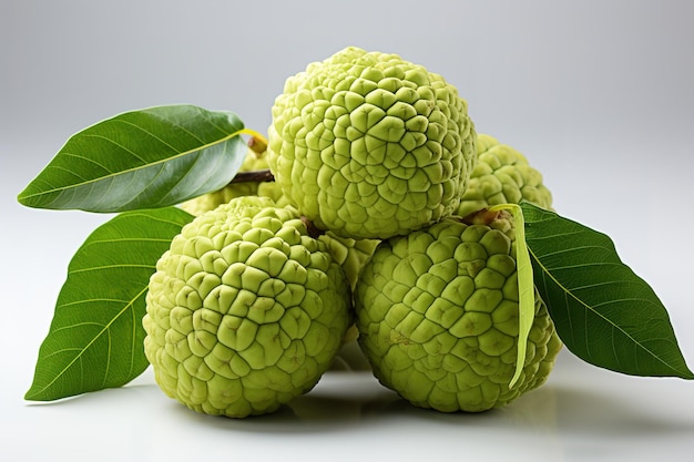 벡터 벡터 일러스트 레이 션 annona cherimoya 달콤한 커스터드 열대 과일