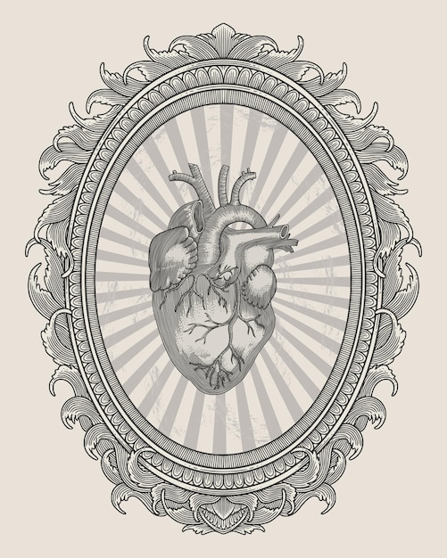 Vector vector illustration of an antique human heart with engraving frame and ornament