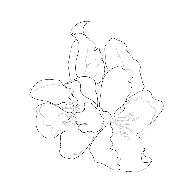 リンゴの木の花のベクトルイラストラインアート