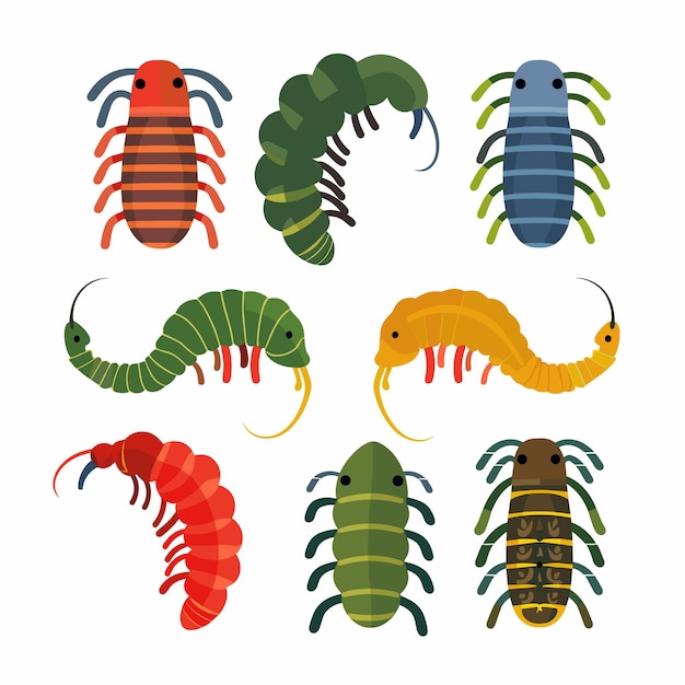 ベクトルイラスト スタイライズされたバグ 昆虫 様々な色 孤立した白い背景