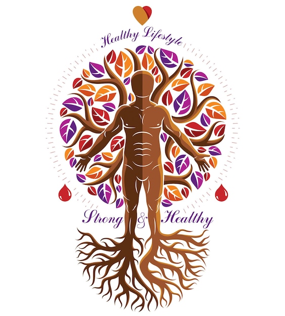 vector illustration of athletic man made as continuation of tree with roots. strong heart is good health, wellness center abstraction.