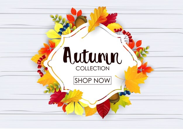 vector illustration of autumn collection sale banner