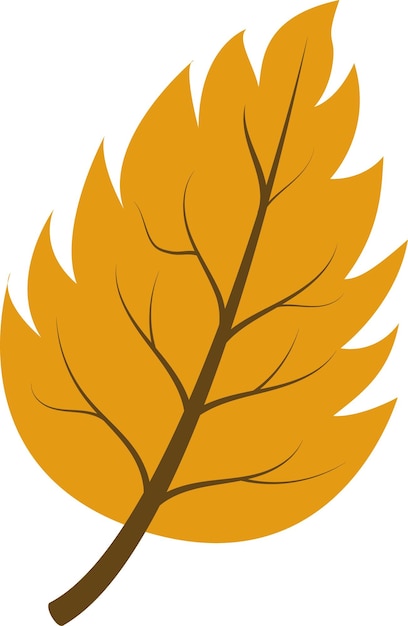 Vector illustration of an autumn leaf isolated on a white background. The icon of the autumn leaf.