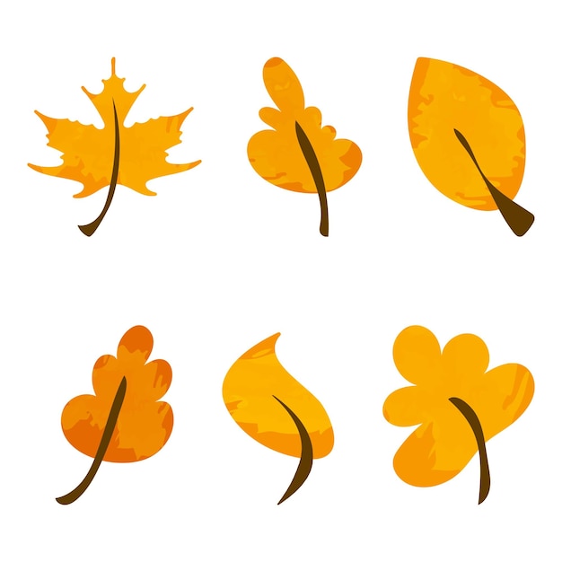 Vector illustration of autumn leaves isolated on white background