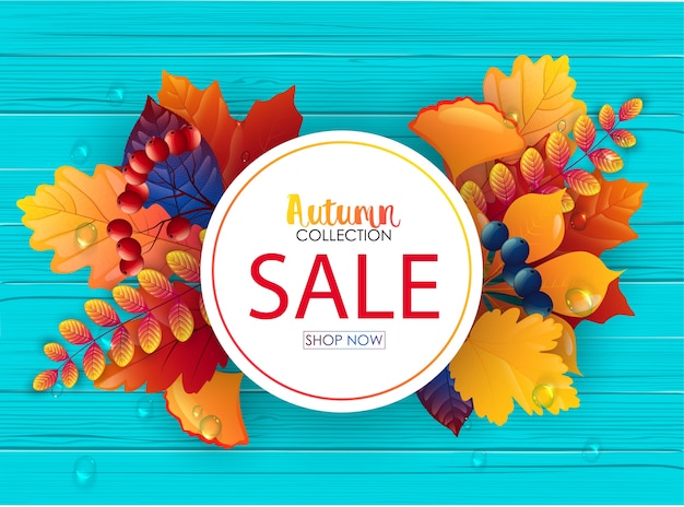 Vector vector illustration of autumn sale banner