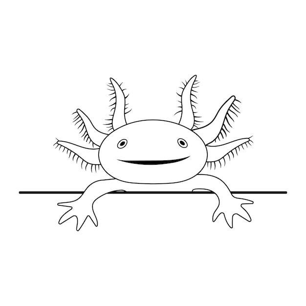 Illustrazione vettoriale di salamandra axolotl isolata on white sorriso carino axolotl che fa capolino disegno in stile contorno