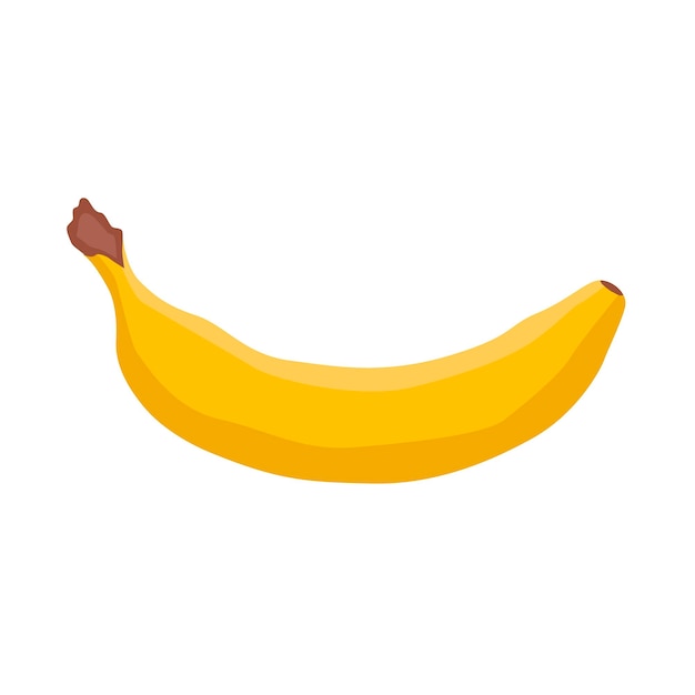 Vector illustration Banana Fruit Yellow banana