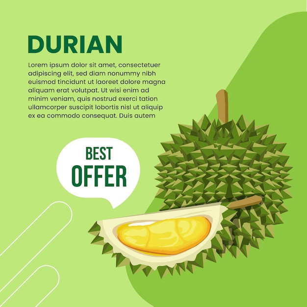 Vector Illustration Of Banner Promotion For Durian