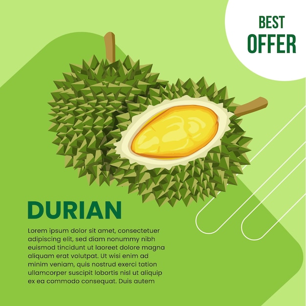 Vector Illustration Of Banner Promotion For Durian