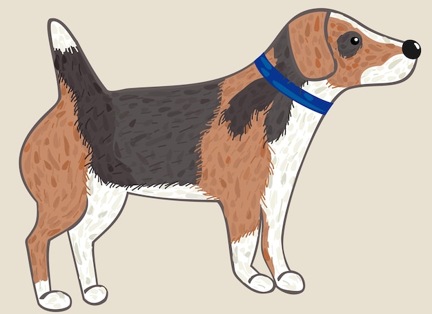 Vector illustration of beaglewith blue collar isolated on light beige background.