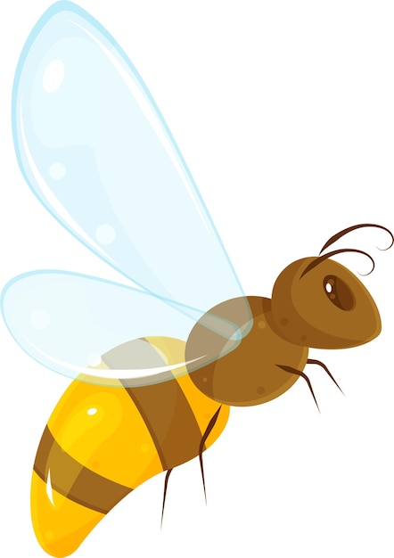 Vector illustration of bee cartoon insect flying wasp honey bee doodle and sketch