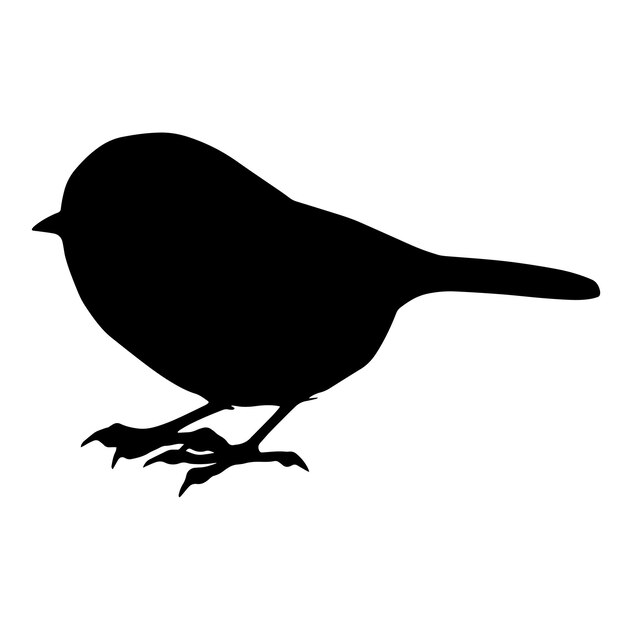 Vector vector illustration of black silhouette of small standing forest bird isolated on white background