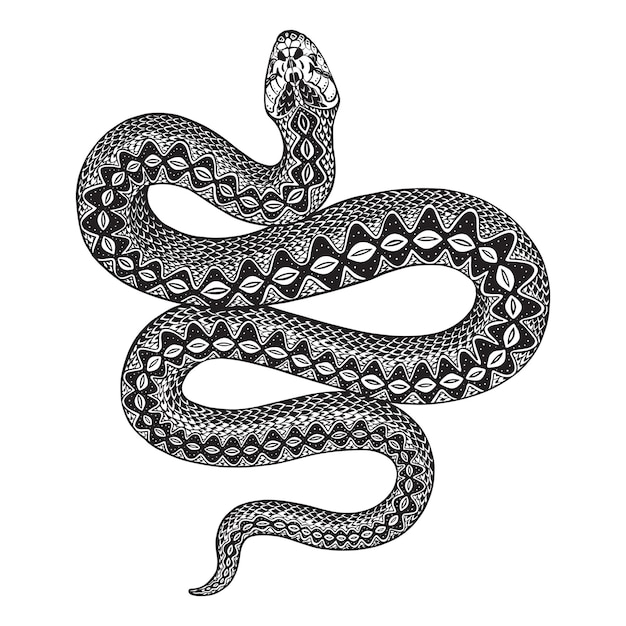 Vector illustration of black and white snake isolated on white background Mystical totem simbol