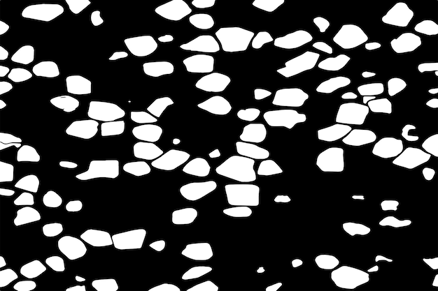 vector illustration of black and white texture