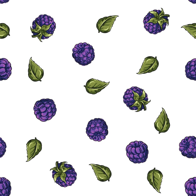 Vector illustration blackberry pattern