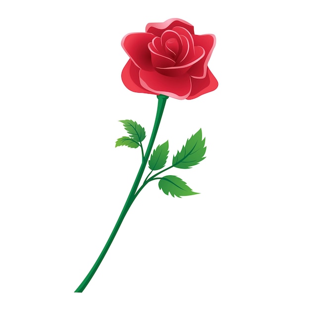 Vettore illustrazione vettoriale di una rosa rossa in fiore