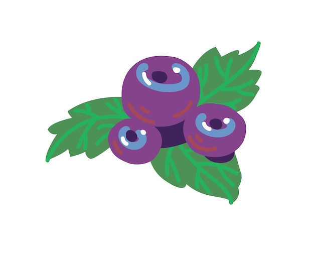 Vector vector illustration blueberry berries with leaves