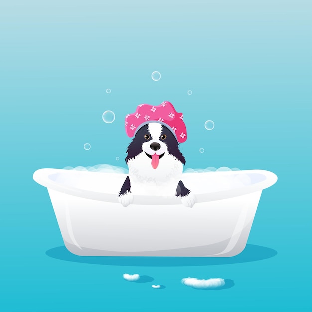 Vector illustration Border collie with shower cap taking a bubble bath