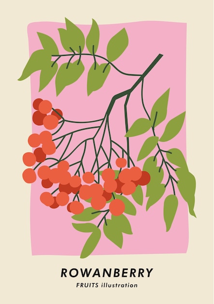 엽서 벽 아트 배너 배경 및 표지에 대한 로완베리 아트가 있는 벡터 그림 식물 포스터