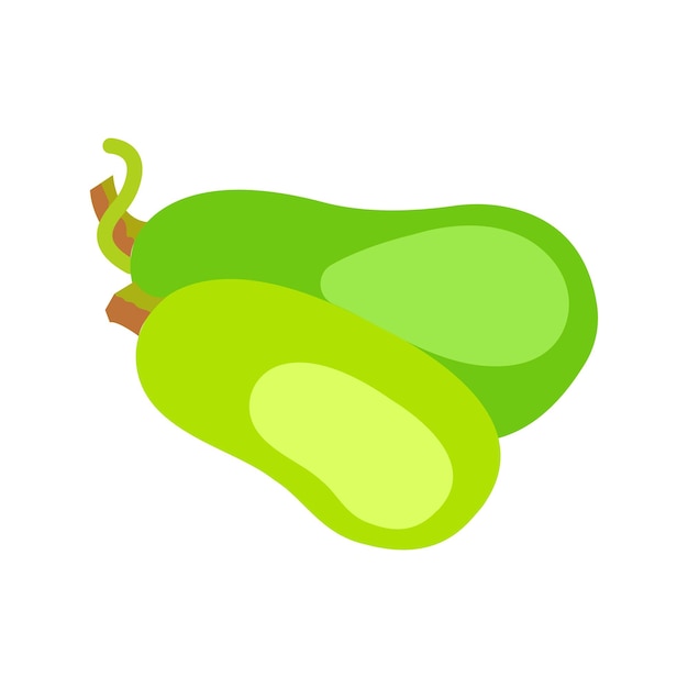 Vector illustration of a bottle gourd on a white background