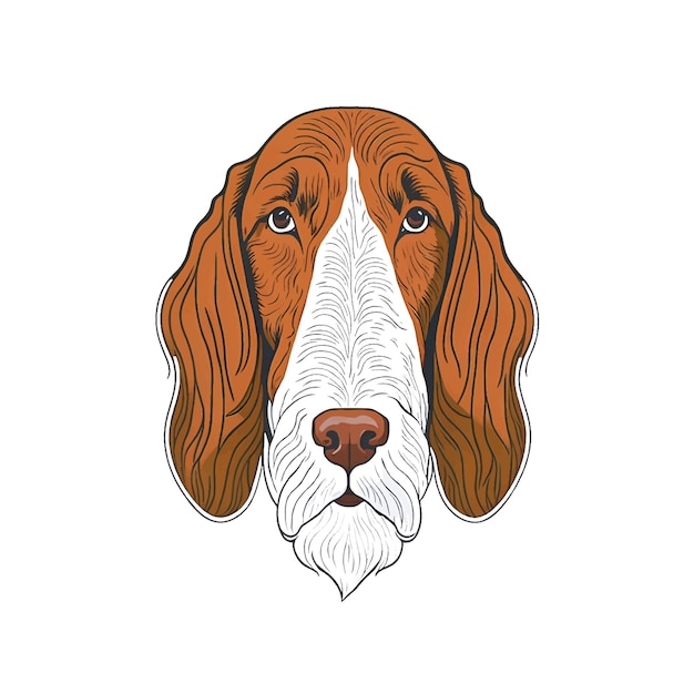 Vector vector illustration of bracco italiano head flat icon isolated on white background