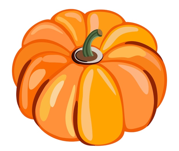 Vector vector illustration of bright orange pumpkin isolated on white background.