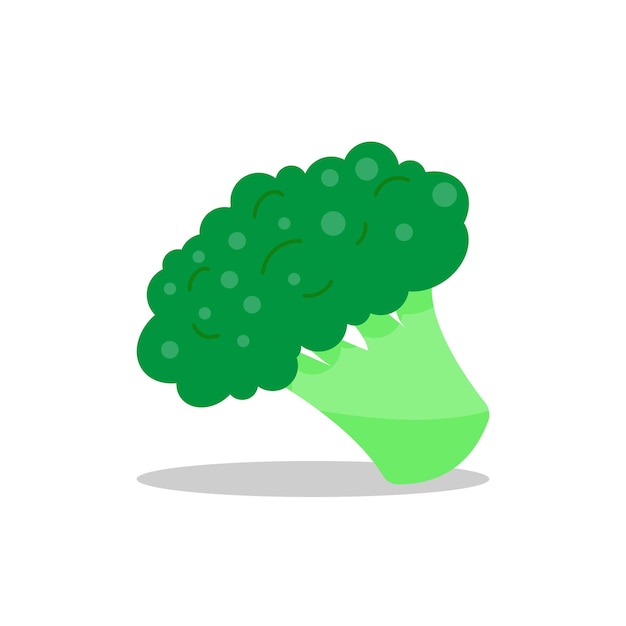 Vector illustration of a broccoli