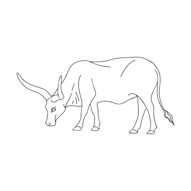 Vector vector illustration of a bull. grazing cattle. bull logo. simple linear illustration of a buffalo.