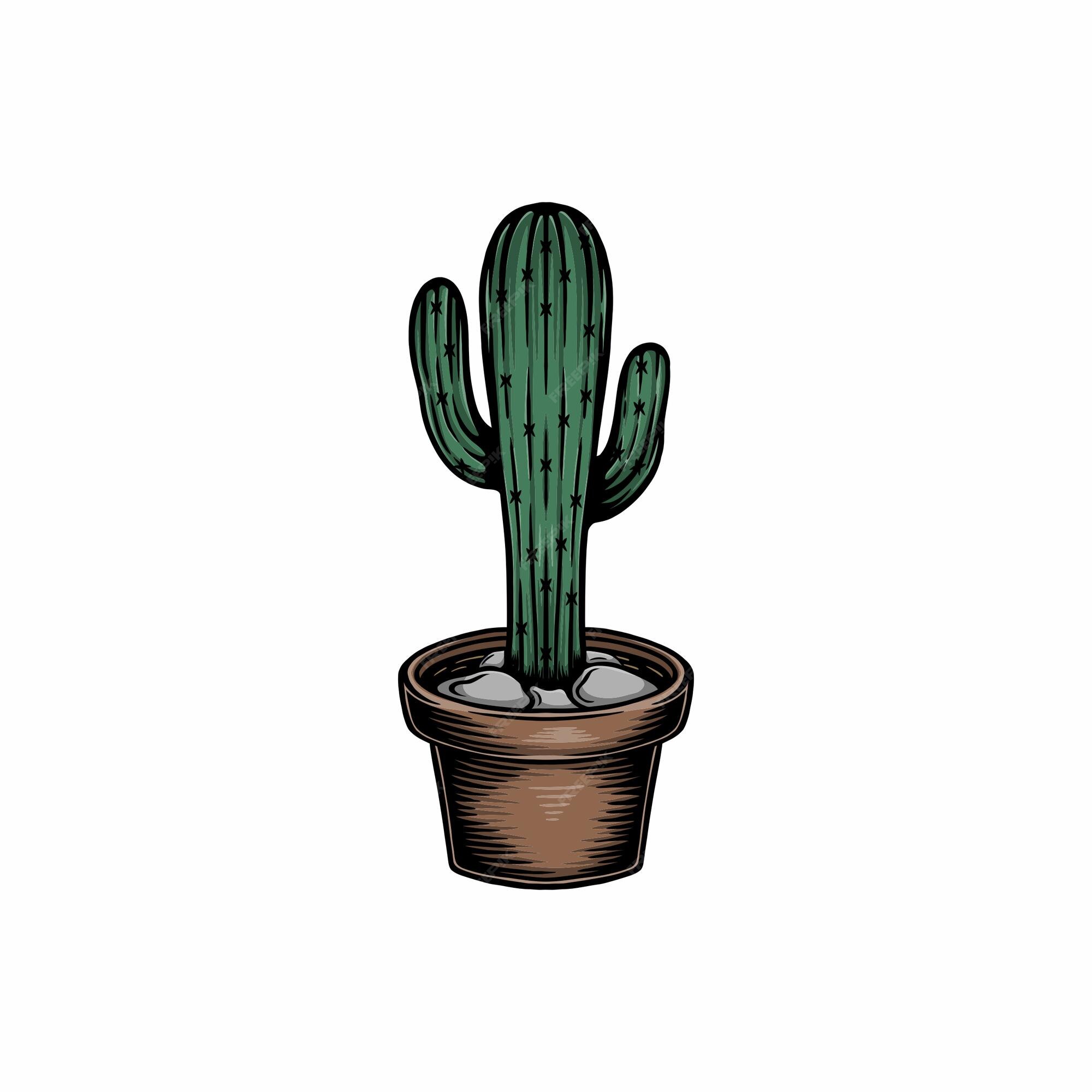 Cactus Pot: ilustrações stock 436615756, Shutterstock