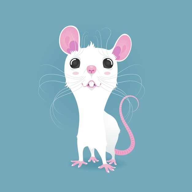 The vector illustration of a cartoon white rat is on a simple background