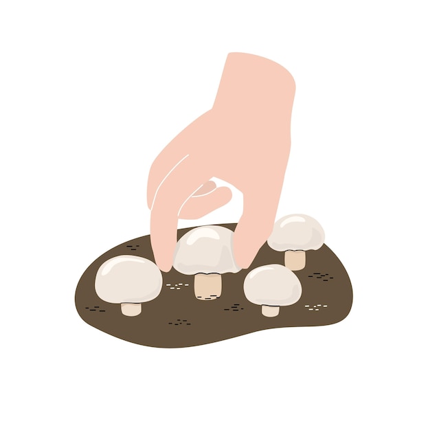 Vector illustration of Champignon