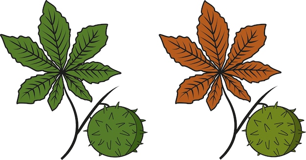 Vector illustration of chestnut leaves in different colors.