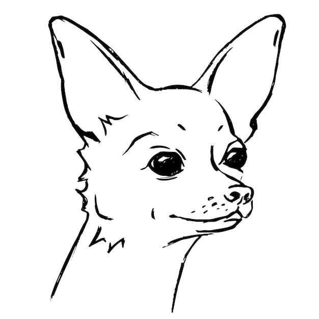 Vector illustration of a chihuahua dog sketch Graphic drawing by line drawing by hand