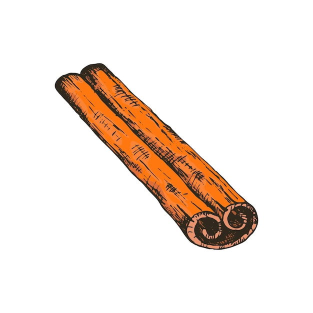 Vector vector illustration of cinnamon stick in freehand style drawings spices and seasonings for asian cuisine masala tea coffee and mulled wine