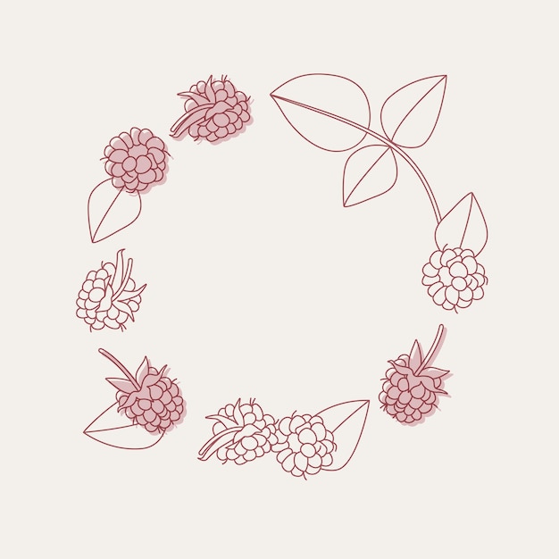 Vector illustration circle composition with raspberries trendy background with raspberries