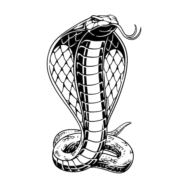 ベクトル ベクトル イラスト コブラは、中心の背景の黒と白のデザインに対して背が高く立つ
