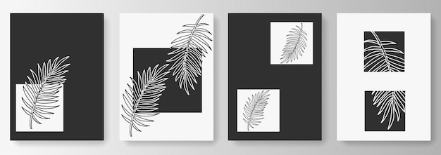 Vector vector illustration collection of black and white backgrounds with tropical leaves