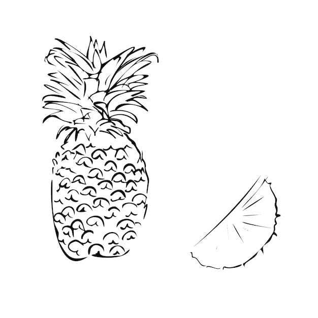 Vettore illustrazione vettoriale di un ananas colorato su uno sfondo bianco isolato