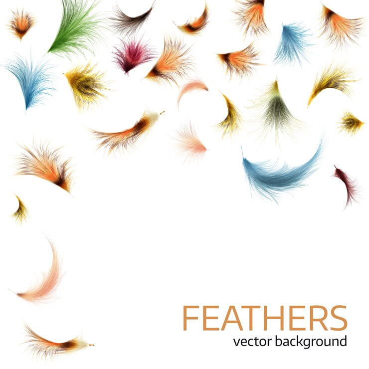 Vector vector illustration of colorful exotic feathers. stylish white background, cover template or flyer design