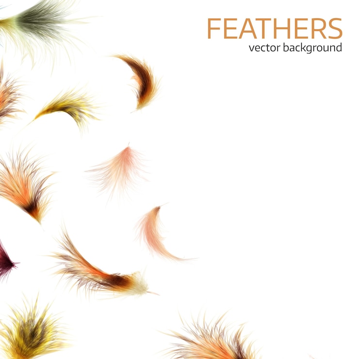Vector vector illustration of colorful exotic feathers. stylish white background, cover template or flyer design