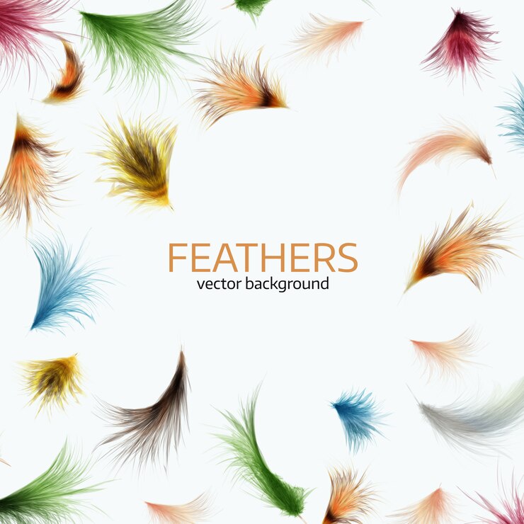 Vector vector illustration of colorful exotic feathers. 