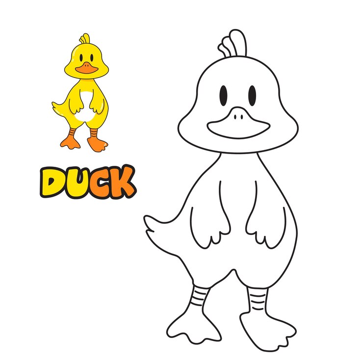 Vector vector illustration coloring book coloring duck cartoon animal clipart set for nursery poster