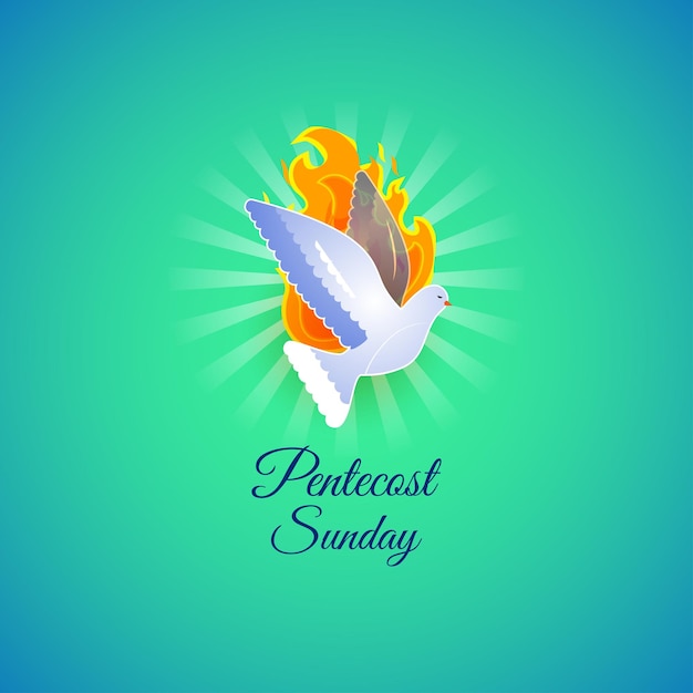 Vector vector illustration concept of pentecost sunday greeting banner