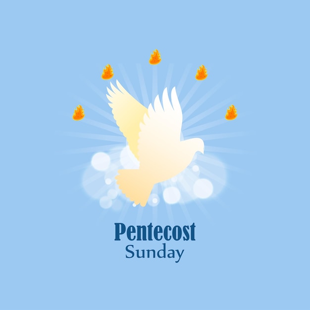 Vettore concetto di illustrazione vettoriale del banner di saluto della domenica di pentecoste
