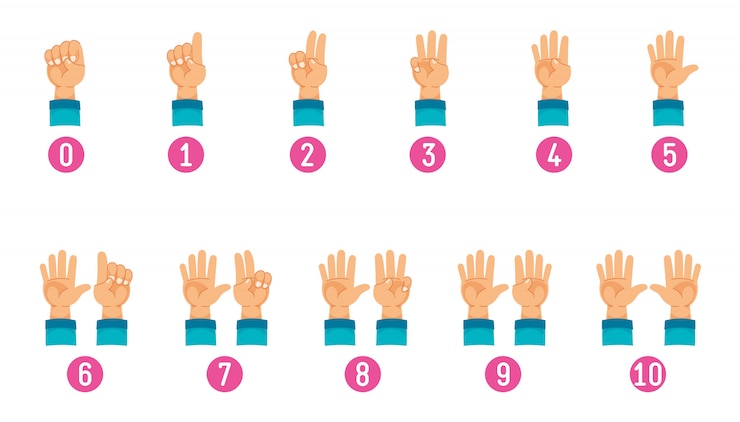 Vector vector illustration of counting hand