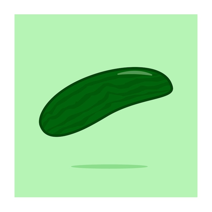 Vector vector illustration of cucumber isolated