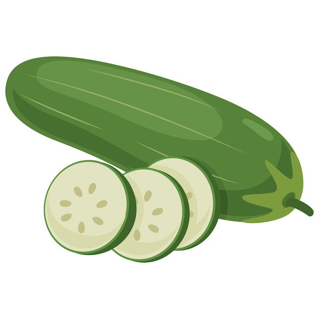 Vector vector illustration of cucumber