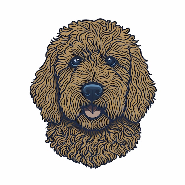 Vector vector illustration of cute australian labradoodle head domestic dog