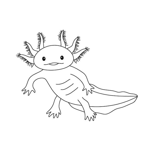 Vector illustration of cute axolotl salamander isolated on white Drawing in outline style for coloring book